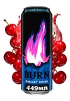 Burn 0,449 жб